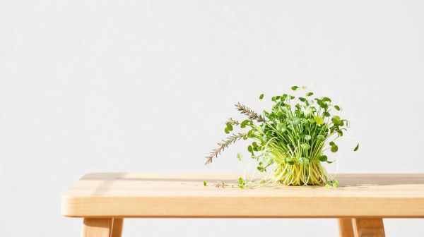 Top critères pour sélectionner des fournisseurs de plateaux de micro pousses